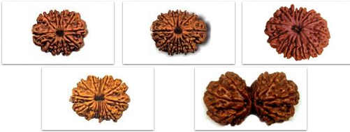 Lord Shiva Pooja Procedures and Benefits Shiva Pooja vidhanam in Telugu, Details of Rudraksha